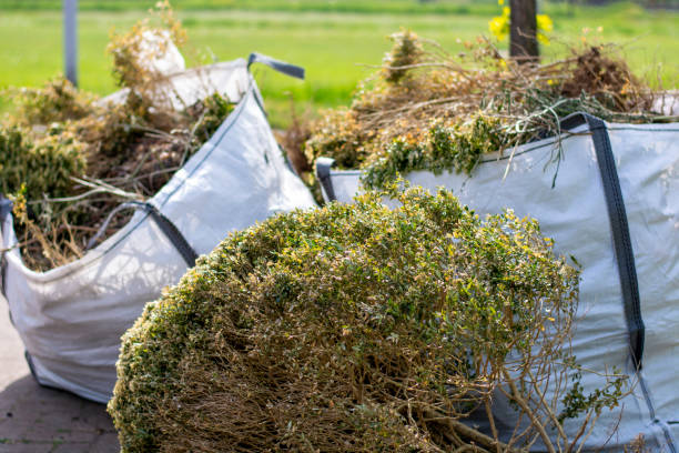 Best Attic Cleanout Services  in Prairie Grove, AR
